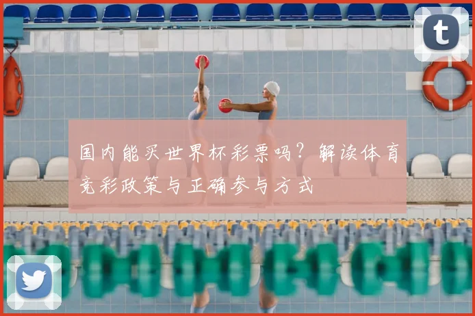 国内能买世界杯彩票吗？解读体育竞彩政策与正确参与方式