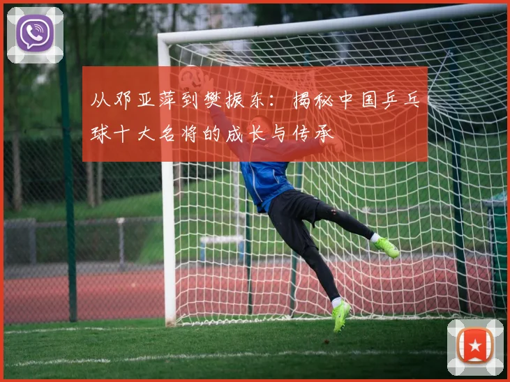 从邓亚萍到樊振东：揭秘中国乒乓球十大名将的成长与传承