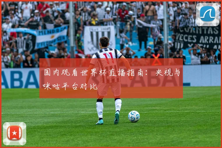 国内观看世界杯直播指南：央视与咪咕平台对比